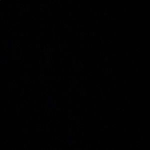 Meet your Posher, Chadis